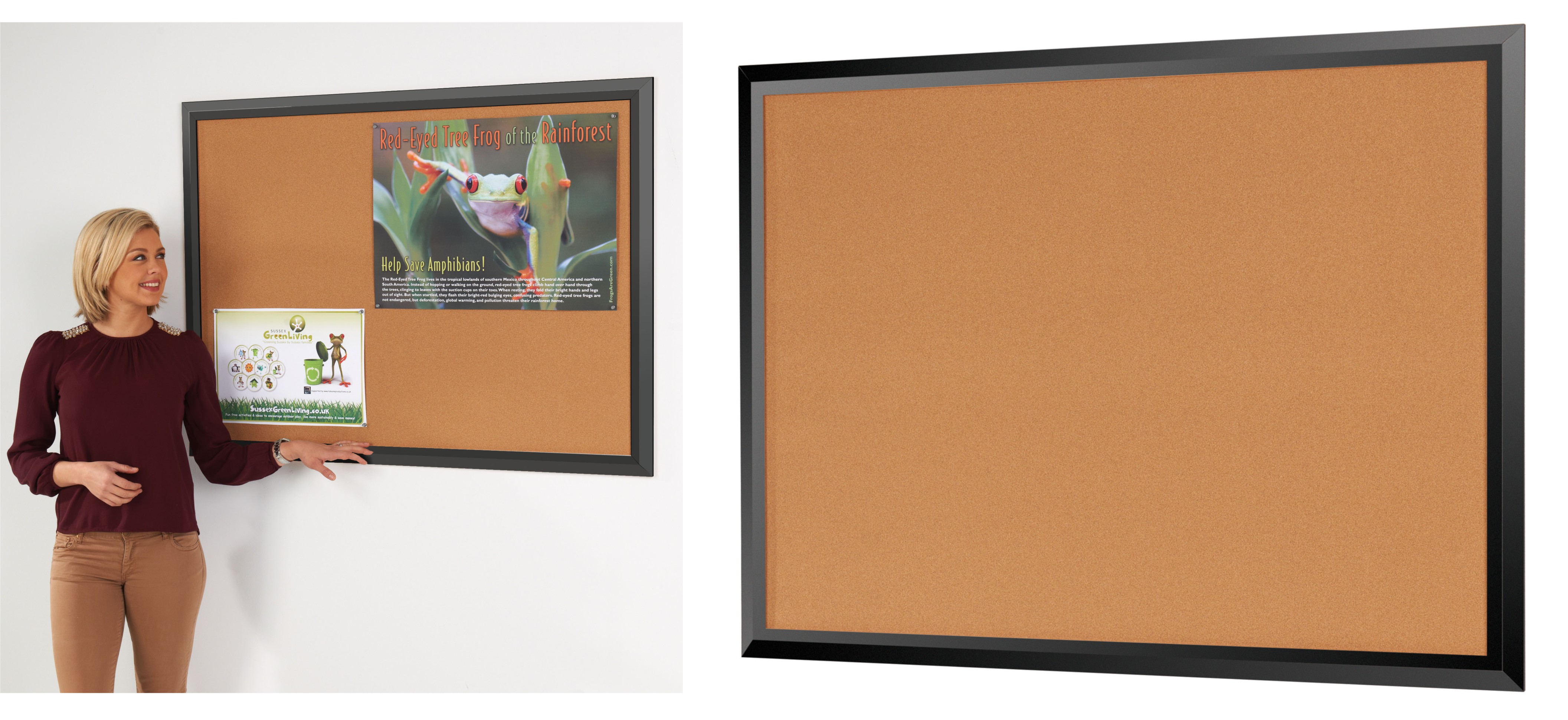 Eco-Friendly Premier Black Framed Cork Notice Boards